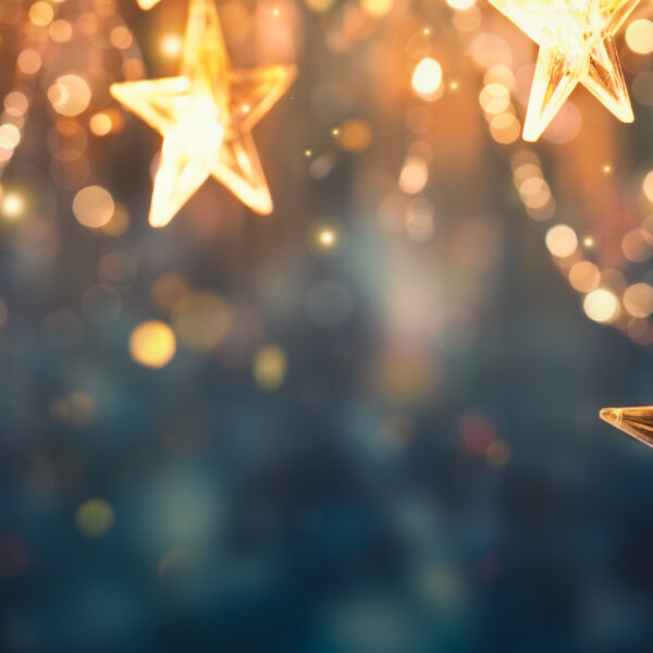 Weihnachtswünsche an den Bundeskanzler